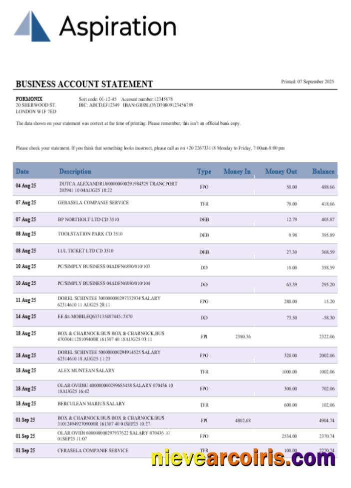 Aspiration bank business account statement